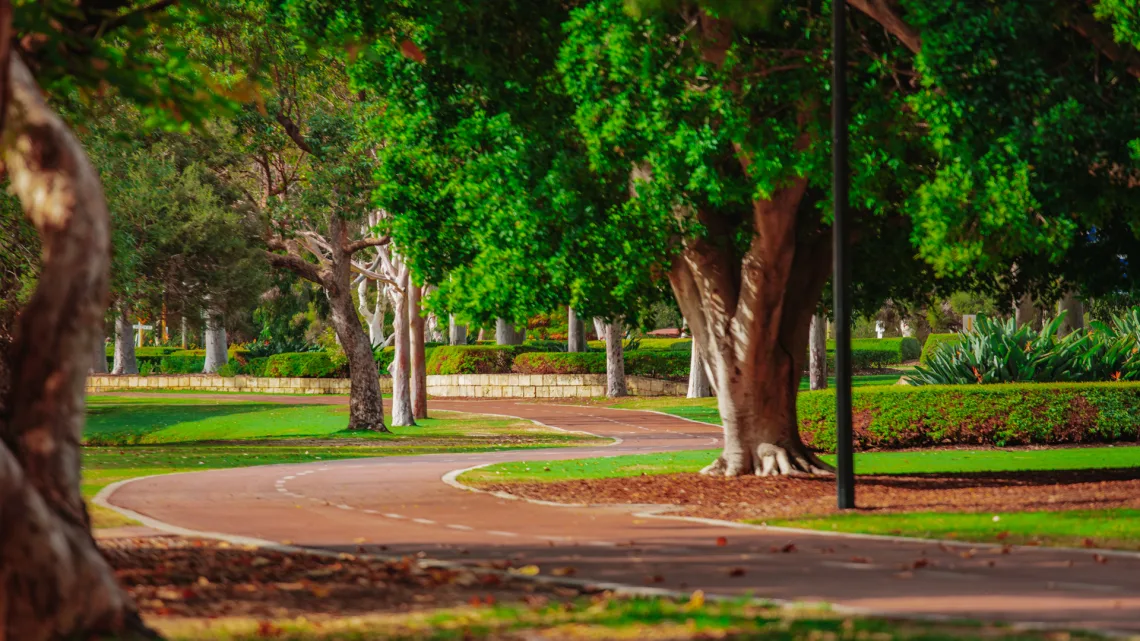 A day On The Green