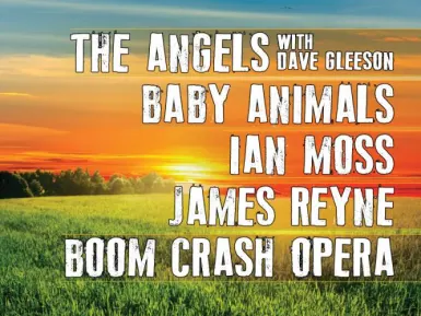 The Angels with Dave Gleeson